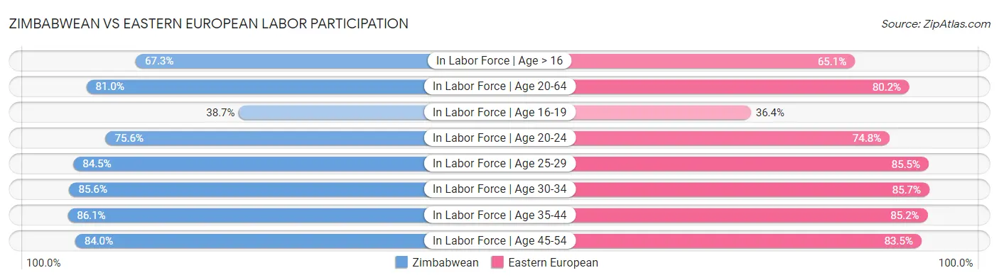 Zimbabwean vs Eastern European Labor Participation