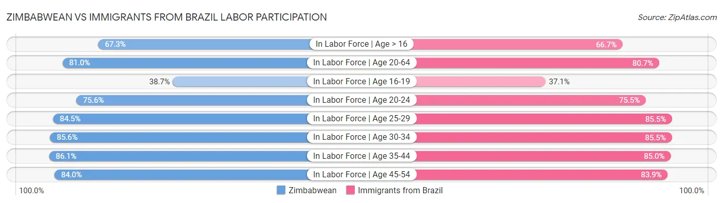 Zimbabwean vs Immigrants from Brazil Labor Participation
