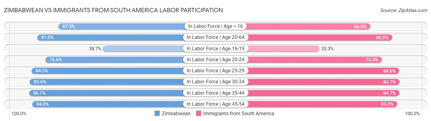 Zimbabwean vs Immigrants from South America Labor Participation