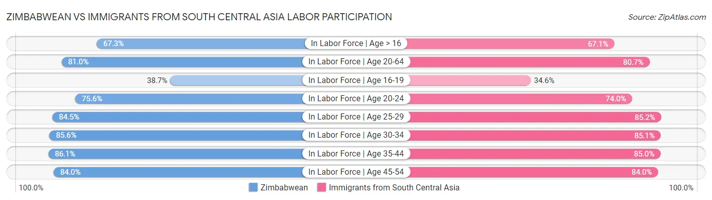 Zimbabwean vs Immigrants from South Central Asia Labor Participation