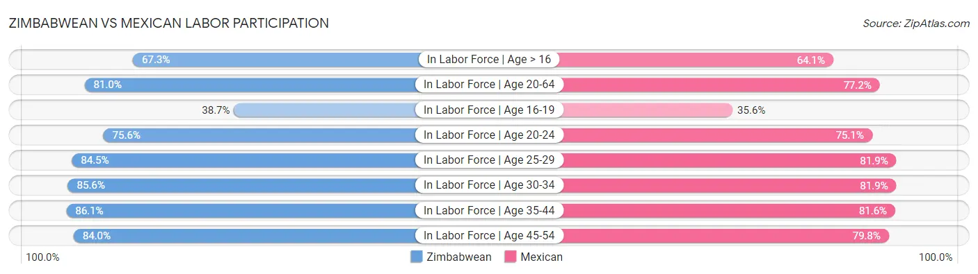 Zimbabwean vs Mexican Labor Participation