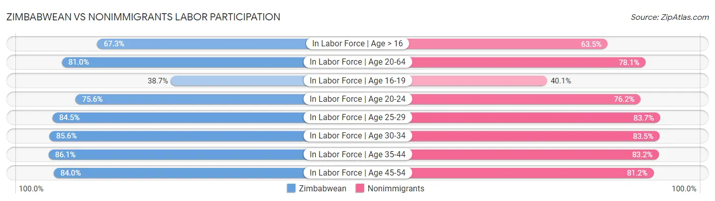 Zimbabwean vs Nonimmigrants Labor Participation