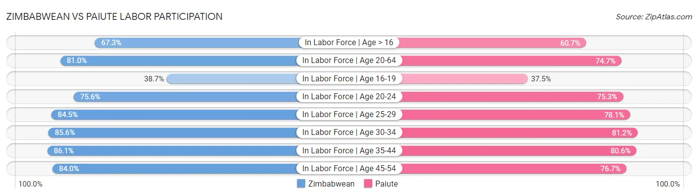 Zimbabwean vs Paiute Labor Participation