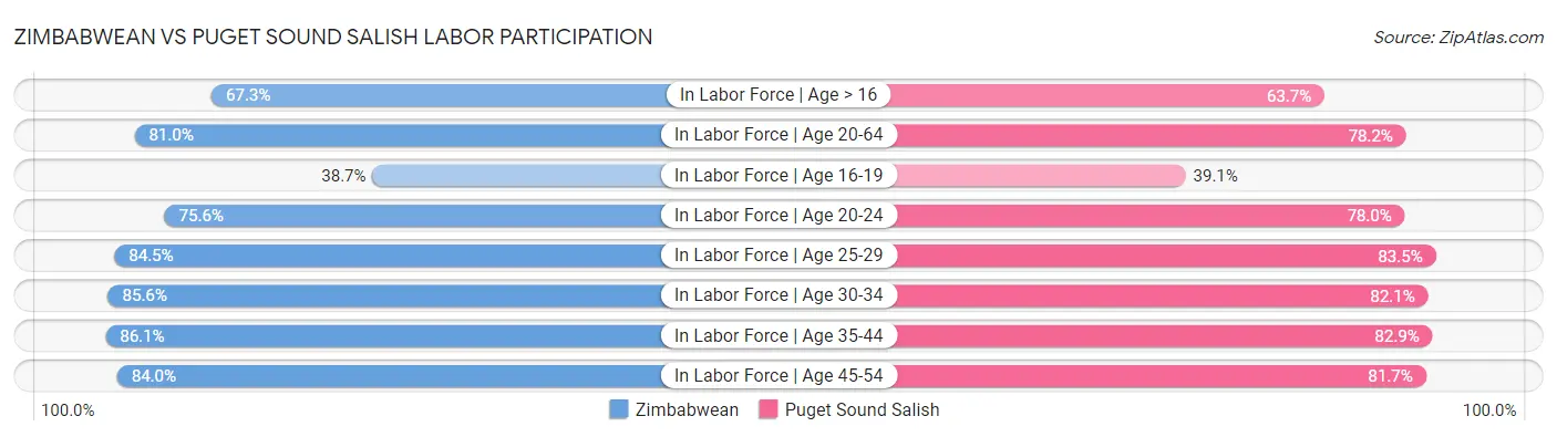 Zimbabwean vs Puget Sound Salish Labor Participation