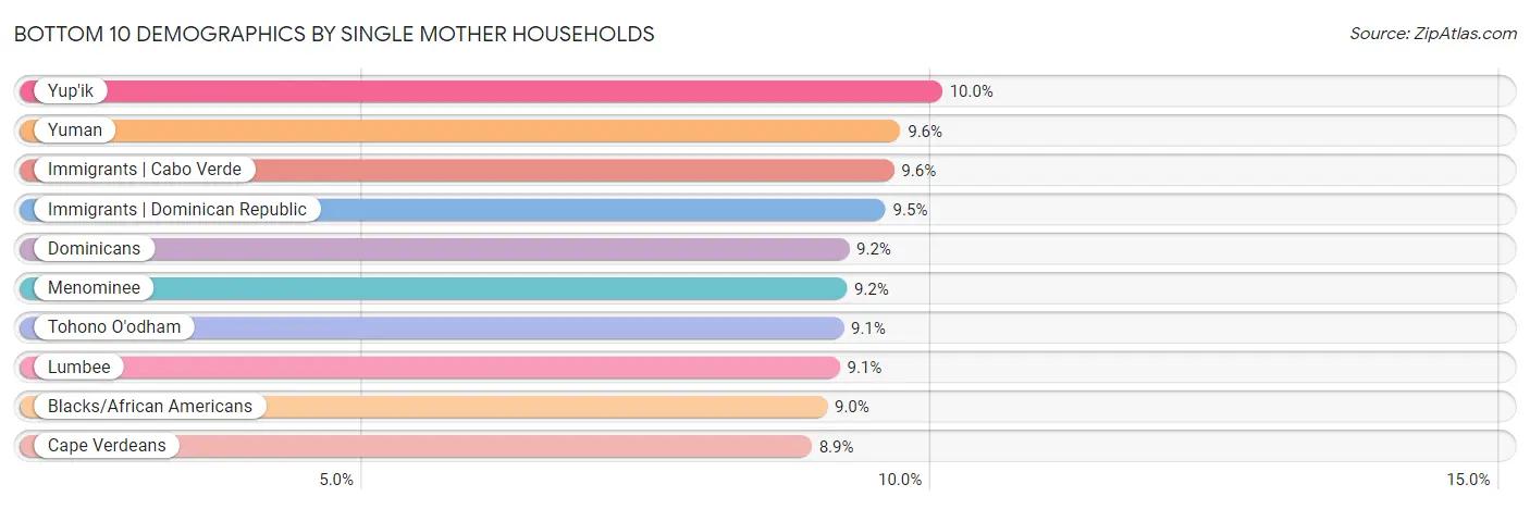 Bottom 10 Demographics by Single Mother Households