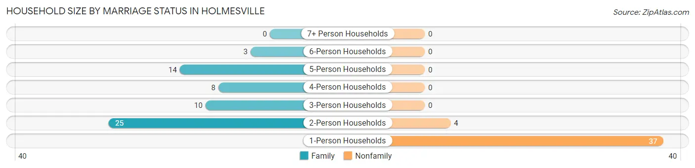 Household Size by Marriage Status in Holmesville
