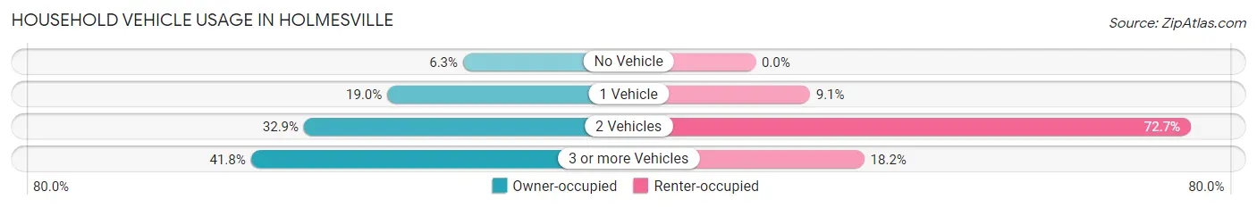 Household Vehicle Usage in Holmesville