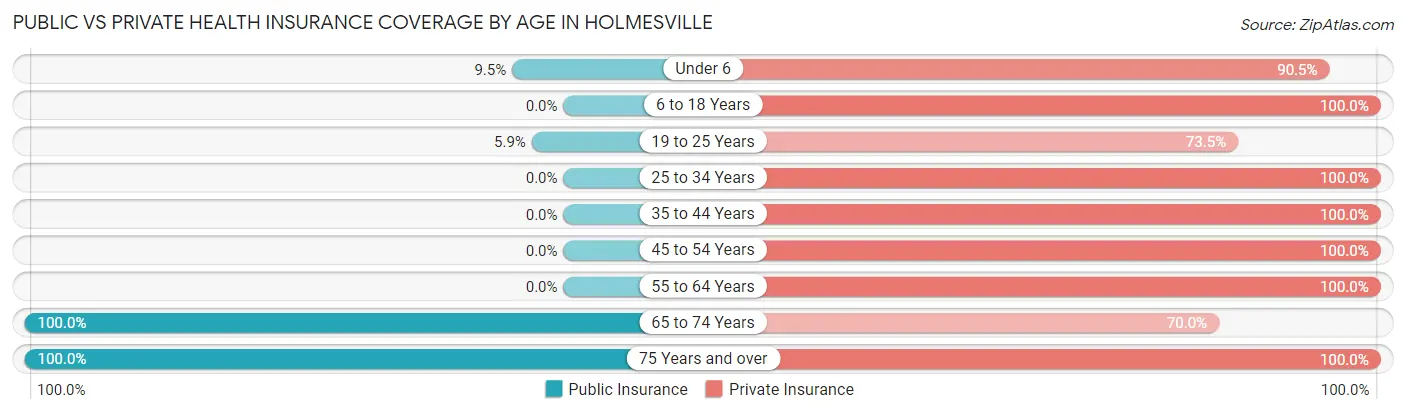 Public vs Private Health Insurance Coverage by Age in Holmesville