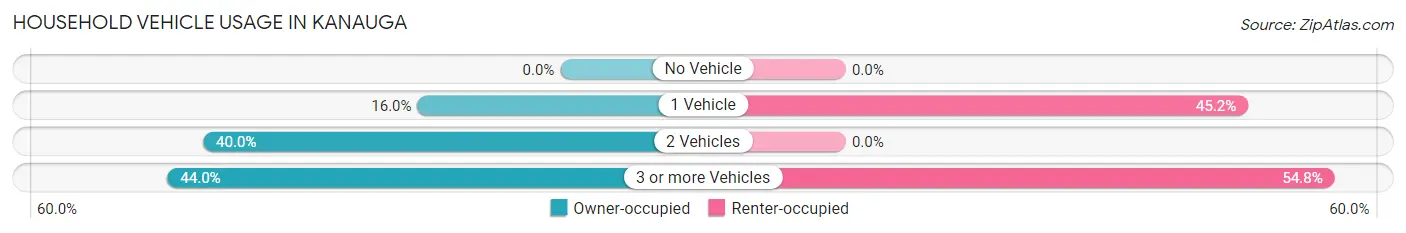 Household Vehicle Usage in Kanauga